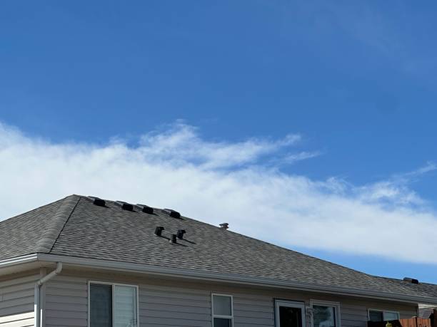 Best Gutter Installation and Repair  in USA